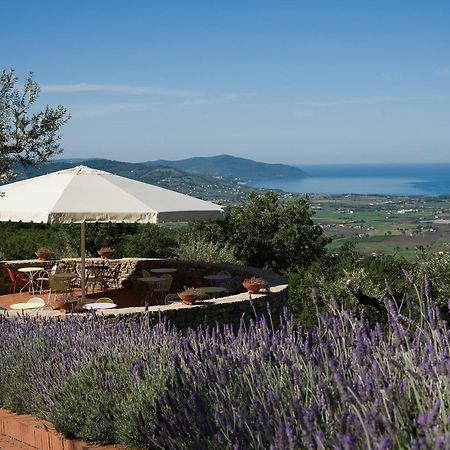 Borgo La Pietraia Hotel Паестум Екстериор снимка